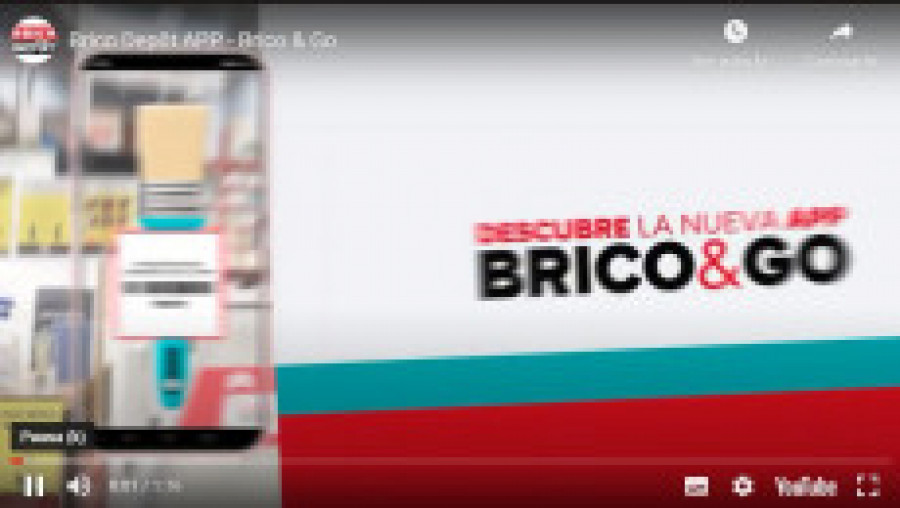 Brico depot app 30506