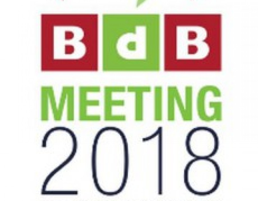 Bdb meeting2018 21740