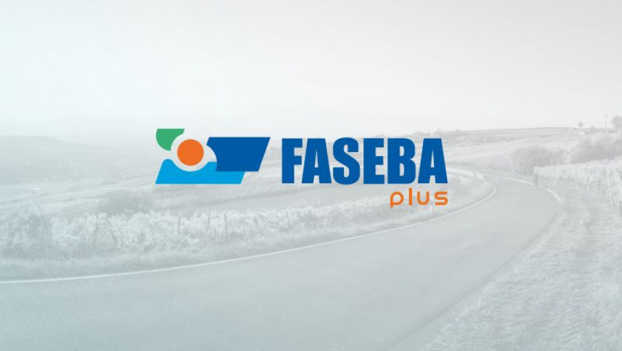 Fabesa 34548