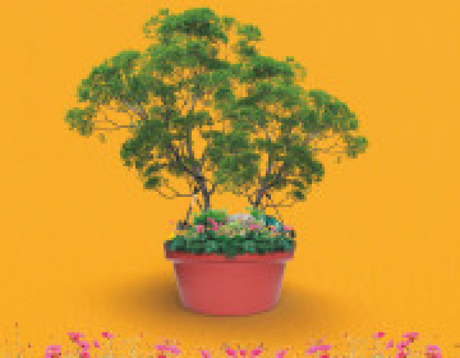 Comafe catalogo de jardin 2021 31938