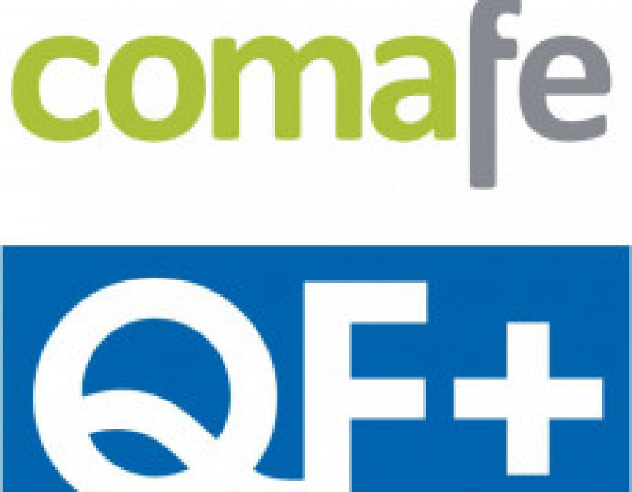 Comafe y qf 30659
