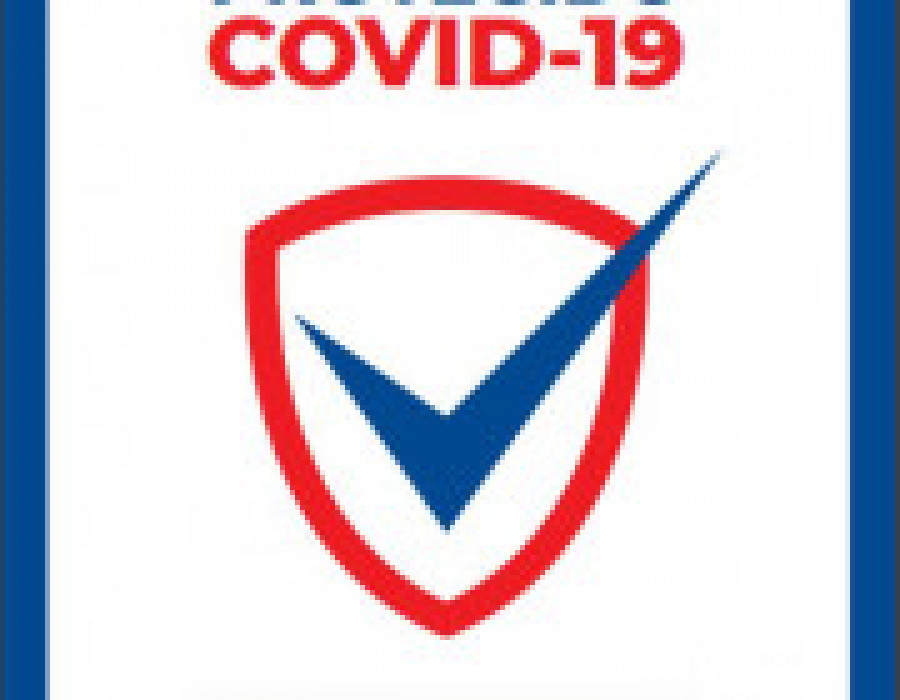 Bigmat logocovid 29004