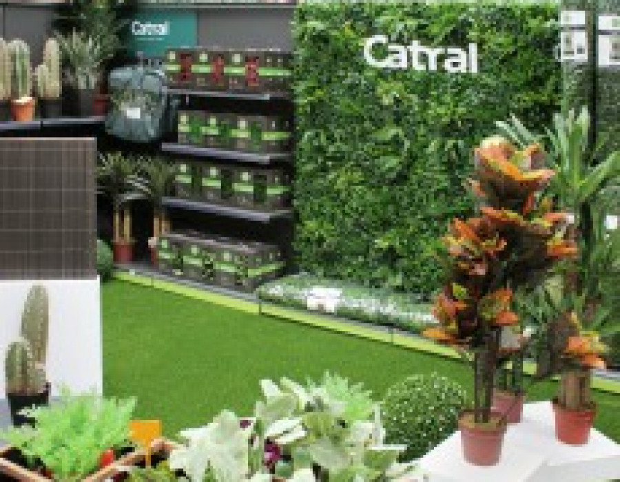 Catral comafe 25516