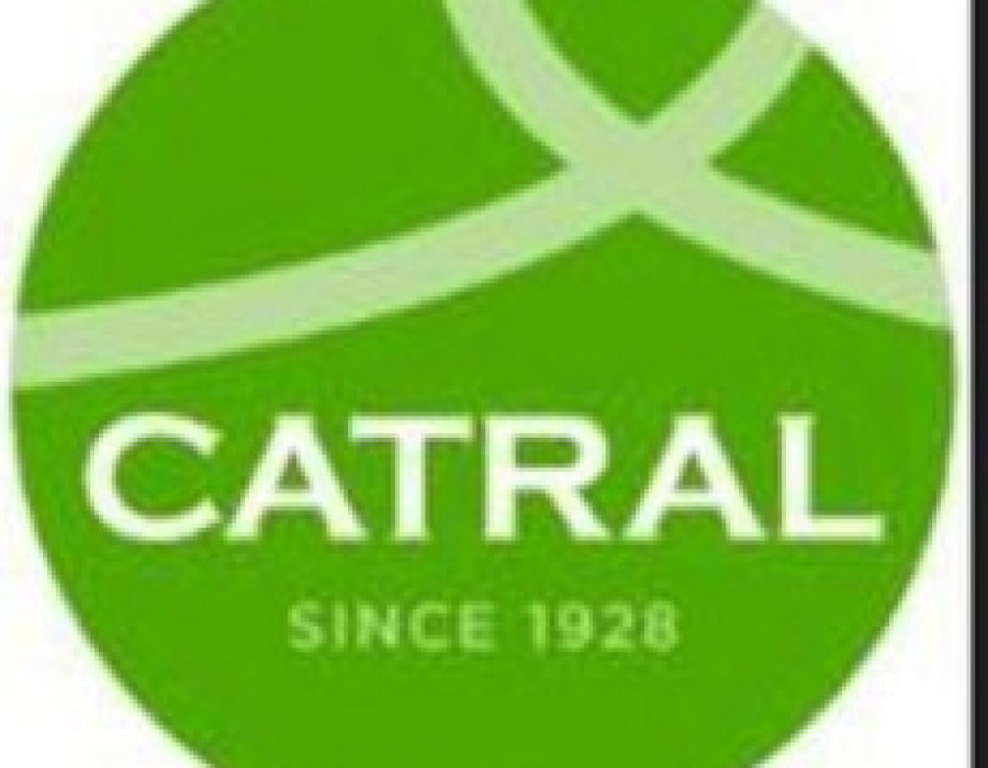 Catral 24958