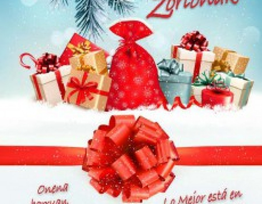 Synergas navidad 24331
