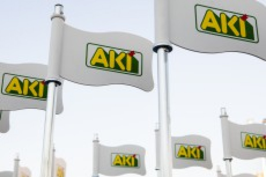Aki 29 aniversario 22003