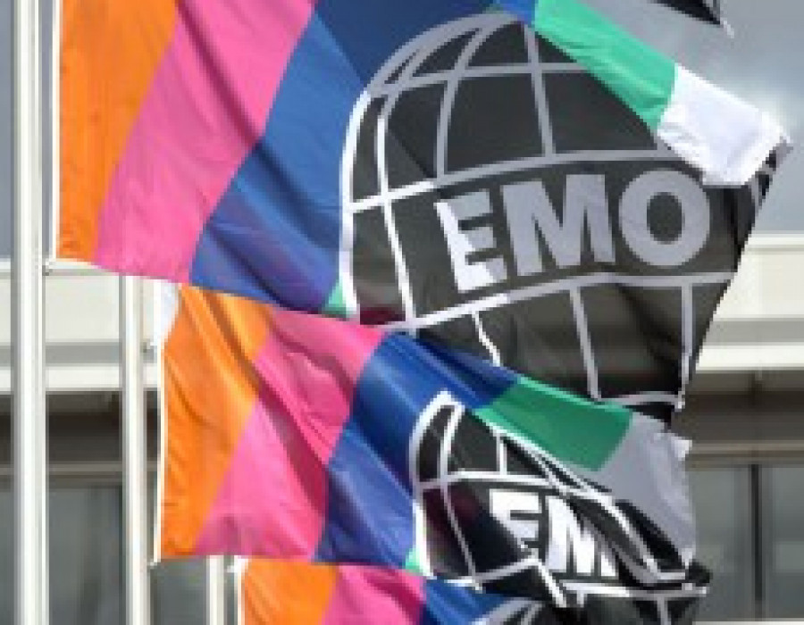Emo bandera 19213