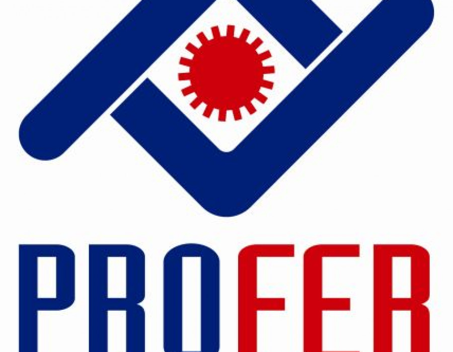 Profer 2454 13511