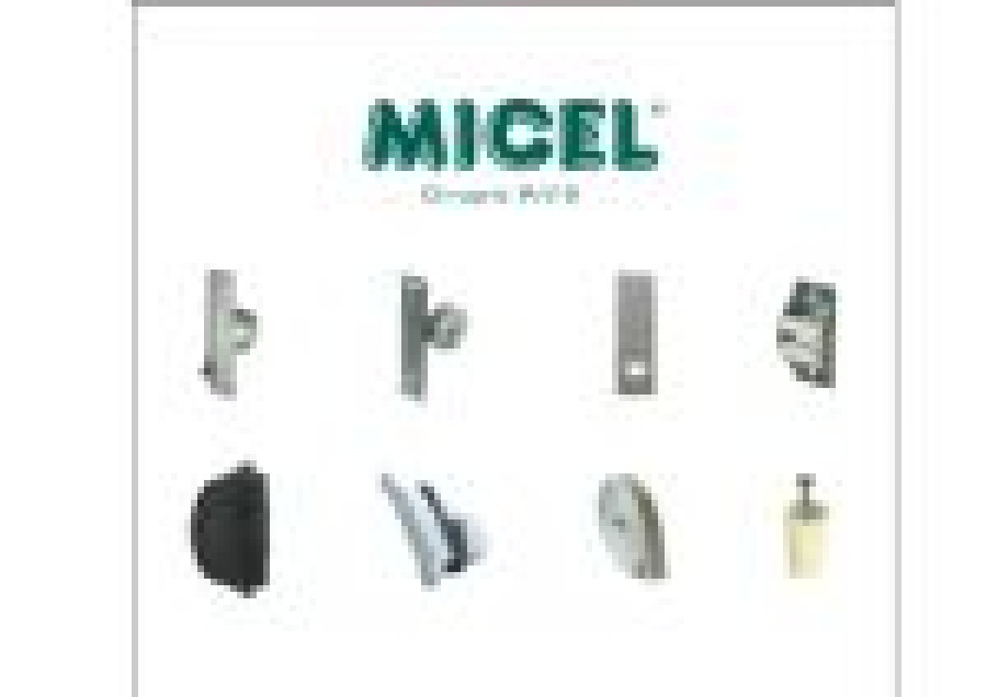 Micelpersiana 12332