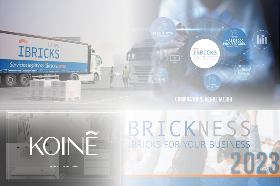 Ibricks Balance anual