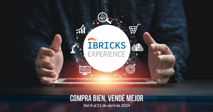 Imagen Ibricks Experience 2024