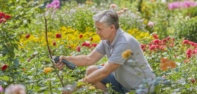 Tijeras AssistCut Lifestyle (3)