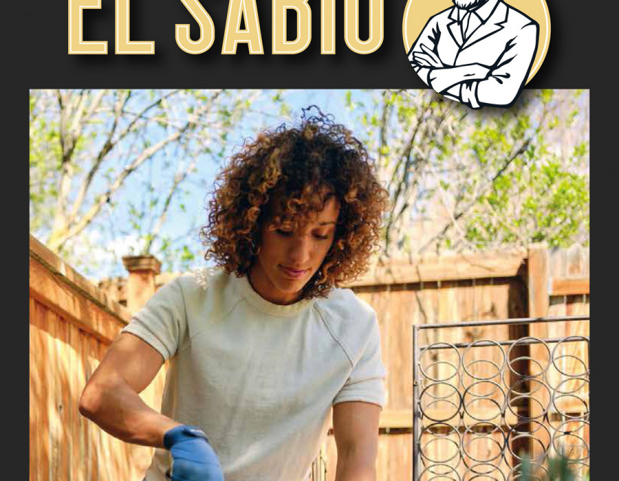 PORTADA EL SABIO PRIMAVERA 2025