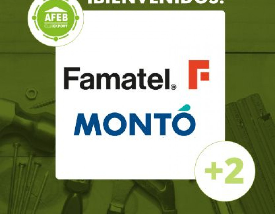 AFEB Famatel y Monto