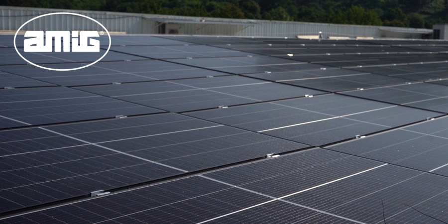 Amig.paneles solares