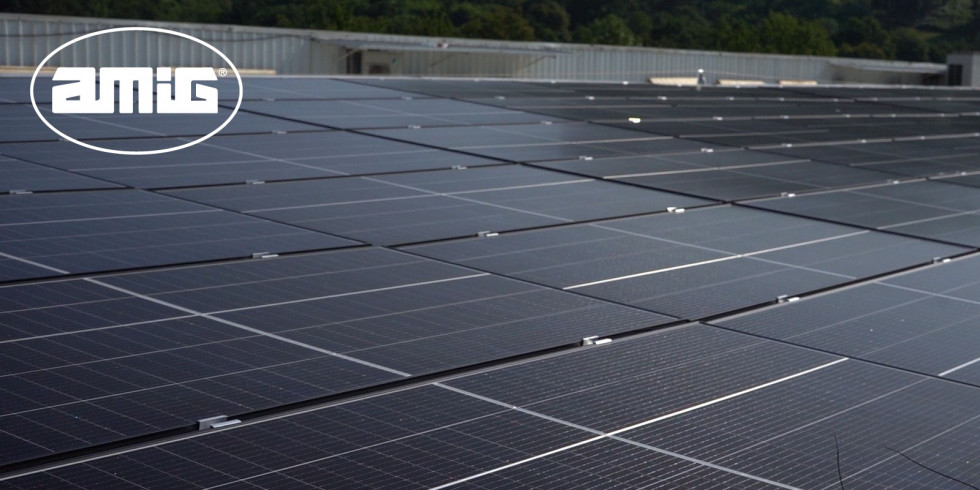 Amig.paneles solares